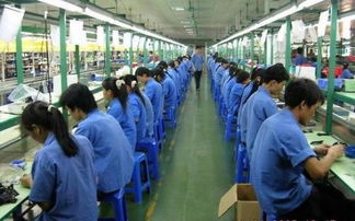 佛山市勞務(wù)市場(chǎng)解析 勞務(wù)派遣、勞務(wù)外包與職業(yè)中介活動(dòng)詳解